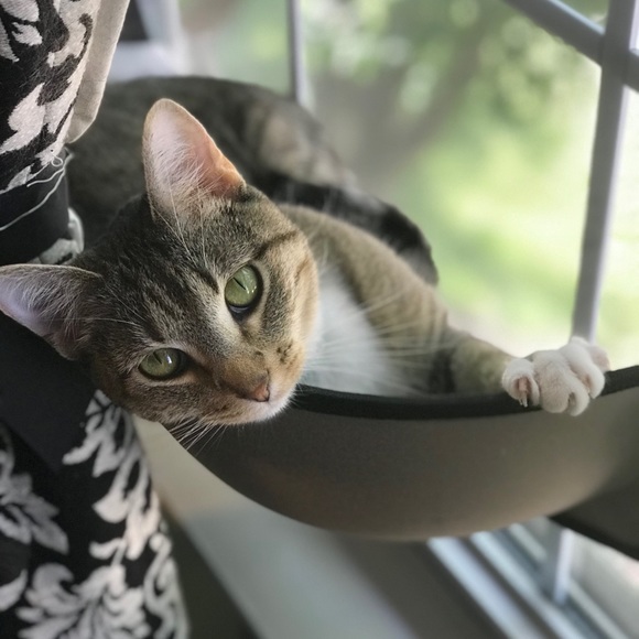 Meet your Posher, Sandra - Picture 5 of 8